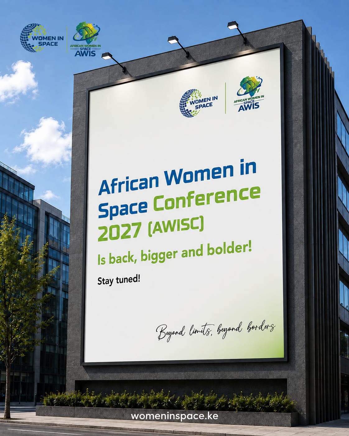 Panel discussion at a past African Women in Space event